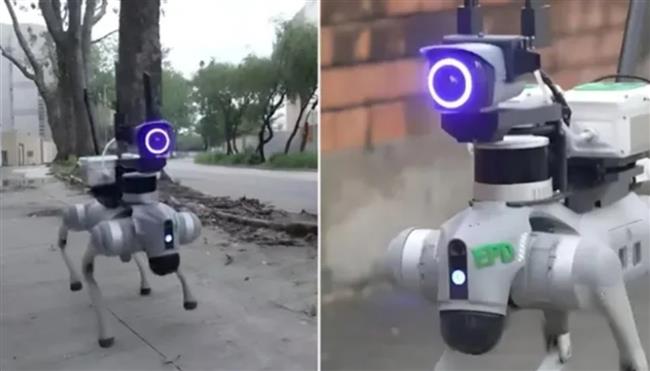 هونج كونج تحمي الطبيعة بكلاب آلية وذكاء اصطناعي