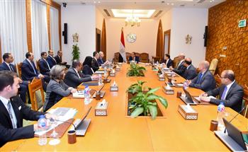 وزير الخارجية يؤكد أولوية الدائرة الإفريقية في السياسة الخارجية المصرية 