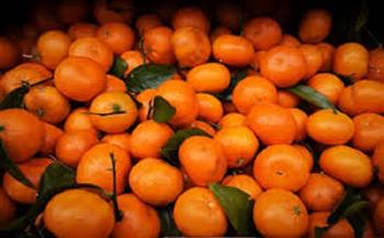 قناع اليوسفي في الشتاء.. حيل منزلية فعالة للبشرة والشعر الجاف