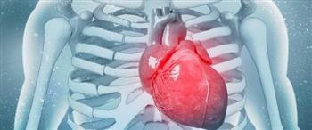 كيف  تقوي عضلة القلب من دون علاج؟