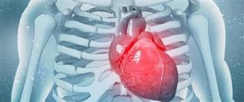 كيف  تقوي عضلة القلب من دون علاج؟