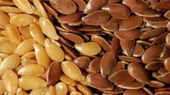 لسلامة قلبك والحفاظ على الوزن المثالي.. إليك فوائد بذور الكتان المطحونة 