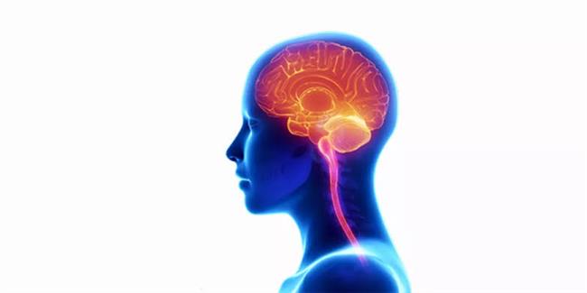 انتبهوا...عوامل تزيد من الإصابة بالتهاب الدماغ