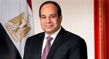 الرئيس السيسي: الميليشيات كانت سببًا في تدمير الدول التي أنشأتها