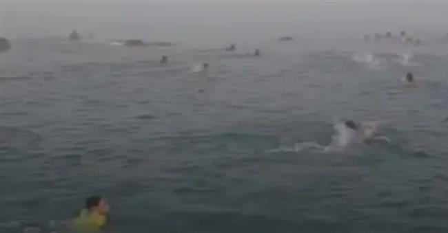 في عيد الشرطة الـ74.. جهود حاسمة لمكافحة الهجرة غير الشرعية