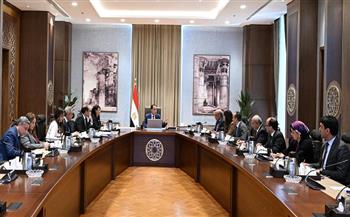 مدبولي يستعرض مستجدات حل مشكلة مديونيات "الكهرباء" لدى الجهات الحكومية