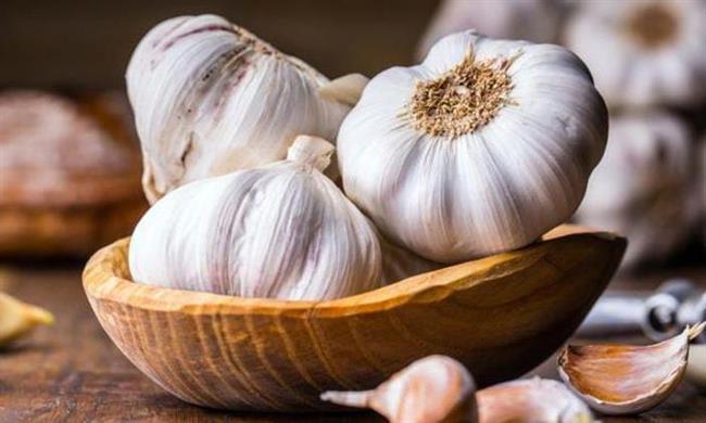 ماذا يحدث لجسمك عند تناول فص ثوم؟.. تقرير يجيب