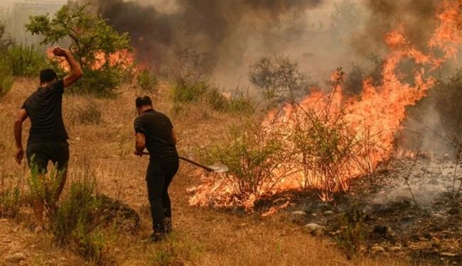 صدمة في تركيا.. حريق كل 19 دقيقة خلال عام 2025