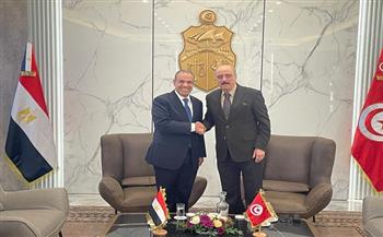 أوضاع غزة وليبيا والسودان على طاولة لقاء وزير الخارجية ونظيره التونسي