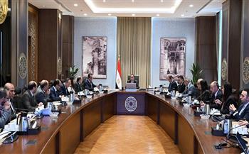 رئيس الوزراء يستعرض موقف توافر الأدوية وسداد مستحقات شركات الدواء