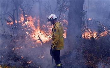 إجلاء مئات السكان في أستراليا بسبب انتشار حرائق الغابات جنوب وشرق البلاد