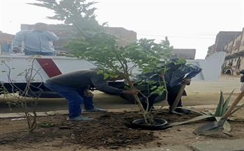 الغربية تشرق بالأخضر.. خطة تشجير طموحة لتعزيز الاستدامة في يوم البيئة الوطني