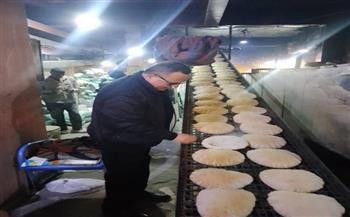 محافظ الدقهلية: ضبط 4.5 أطنان مخللات وملح مغشوش وتحرير 124 مخالفة خلال يومين