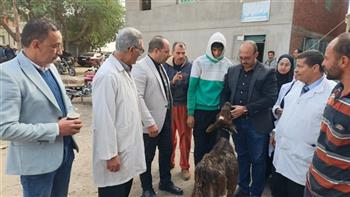 محافظ الدقهلية يتابع جهود مديرية الطب البيطري في تقديم القوافل الطبية البيطرية المجانية