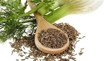 4 أعشاب تخلصك من غازات البطن