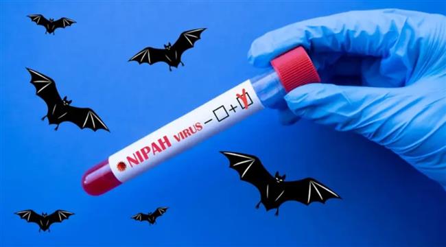 فيروس جديد يرعب العالم.. سببه الخفاش ويسبب الوفاة