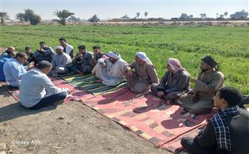 "زراعة قنا" تنظم مدارس حقلية لمزارعي القمح لتعزيز الأمن الغذائي ورفع الإنتاجية