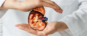 متى يعتبر تضخم الكلى عند الجنين خطيرا؟