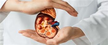 متى يعتبر تضخم الكلى عند الجنين خطيرا؟