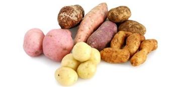 لصحة أطفالك البدنية.. خضروات عالية الكربوهيدرات يجب التقليل من تناولها