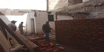 مواصلة حملات النظافة المكثفة وقص وتقليم الأشجار والمسطحات الخضراء بمدينة الأقصر