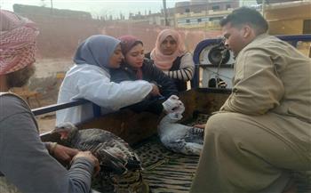 جامعة قناة السويس تطلق قافلة تنموية شاملة لخدمة أهالي "التل الكبير"