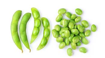 الفول الأخضر كنز غذائي متكامل على مائدتك