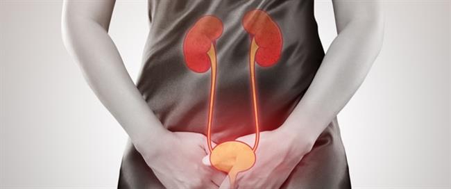 ما هو التهاب المسالك البولية ؟  