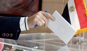 انتخابات مجلس النواب.. انتظام عملية التصويت في اليوم الثاني لجولة الإعادة بأسوان