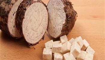 القلقاس في الشتاء لتقوية العظام