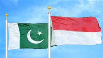 باكستان وإندونيسيا تبحثان سبل تعزيز العلاقات الثنائية وتناقشان التطورات العالمية الحالية