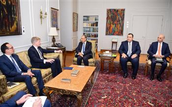 وزير الخارجية يؤكد دعم مصر للتهدئة في اليمن والتوصل إلى تسوية سياسية شاملة