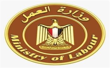 وزارة العمل: التفتيش على 581 منشأة وإعادة التفتيش على 331 أخرى خلال 4 أيام