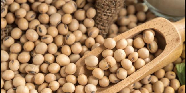 الصين تشتري 10 شحنات فول صويا أمريكية مع اقترابها من مستهدفات الاتفاق التجاري