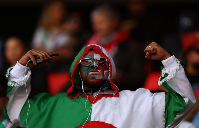 كأس أمم أفريقيا..جماهير الجزائر تدعم "محاربو الصحراء" امام الكونغوا صور 