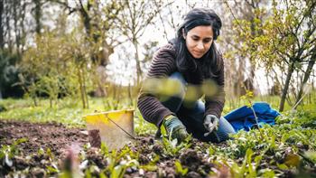 مقترح أوروبي لإتاحة تمويل زراعي مبكر لدعم المزارعين من ميزانية الاتحاد المقبلة