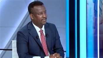 برلماني صومالي: إدانات مصر والدول العربية والإفريقية حائط صد لمحاولات تفكيك الصومال  