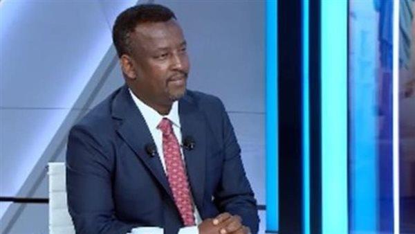 برلماني صومالي: إدانات مصر والدول العربية والإفريقية حائط صد لمحاولات تفكيك الصومال  