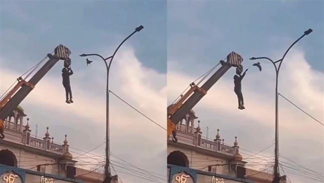 عملية إنقاذ غير عادية.. عامل يخاطر بحياته من أجل طائر عالق بين الأسلاك