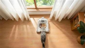 لحل مشكلة السرقة.. جهاز يطعم القطط بتقنية التعرف إلى الوجوه