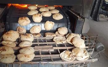 "تضامن كفر الشيخ": توزيع 1900 كيلو لحمة على 450 أسرة أولى بالرعاية بمناسبة عيد الميلاد المجيد