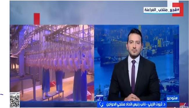 ثروت الزيني: المخاوف من وصول أسعار الدواجن إلى 90 جنيهًا قبل رمضان مبالغ فيها
