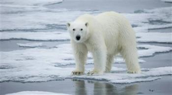 بسبب النشاط البشري.. عام 2025 كان الأكثر حرًا في النرويج