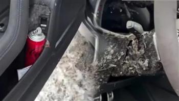 شاهد| عبوة مياه غازية منسية تسبب كارثة داخل سيارة