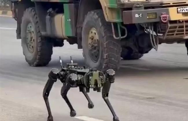 الهند.. كلاب روبوتية للمهمات العسكرية الخطرة
