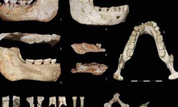  "كهف ⁠أشباه البشر".. أحافير بشرية عمرها 773 ألف عام في المغرب