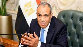 وزير الخارجية: مصر ترفض تقسيم غزة وتؤكد وحدة الأراضي الفلسطينية