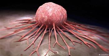 كيف تحمي البكتيريا المعوية الجسم من السكري؟