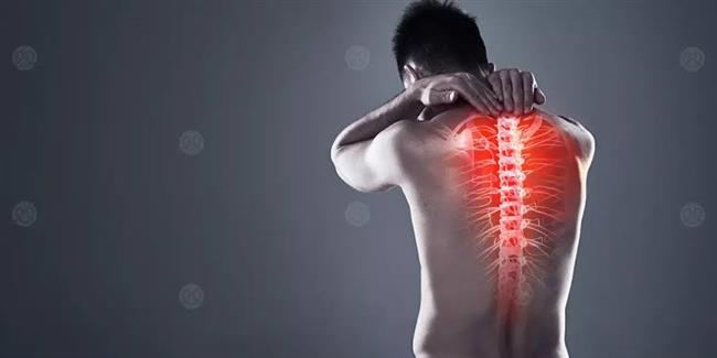 خطوات أساسية لحماية فقرات العمود الفقري في الشتاء