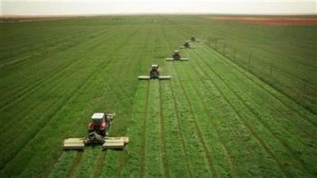 "الزراعة" تستعرض أنشطة الوزارة خلال أسبوع